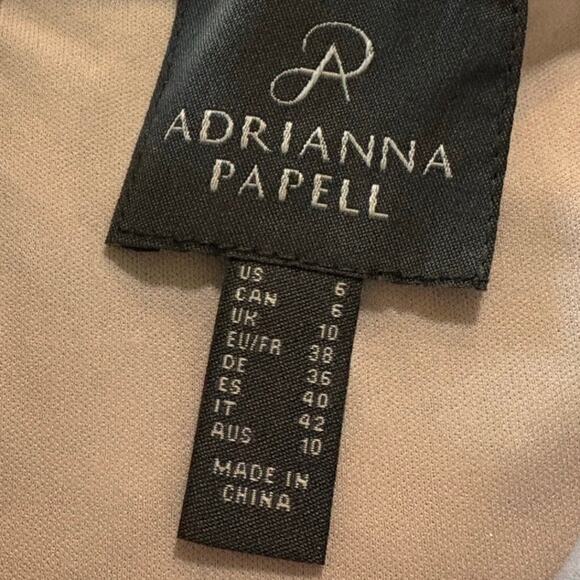 Adrianna Papell NWT Midnight Nude Floral Embroidered Sheath Dress Size 6 - Picture 6 of 11